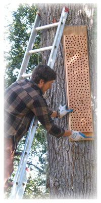 Ryan Drobek installing an artificial granary